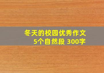 冬天的校园优秀作文5个自然段 300字